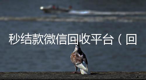 秒结款微信回收平台(回收vx秒结平台)