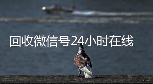 回收微信号24小时在线秒结(回收微信号24小时交易平台)