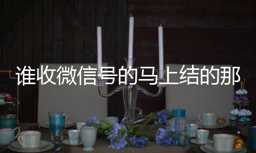 谁收微信号的马上结的那种(有谁收微信号)