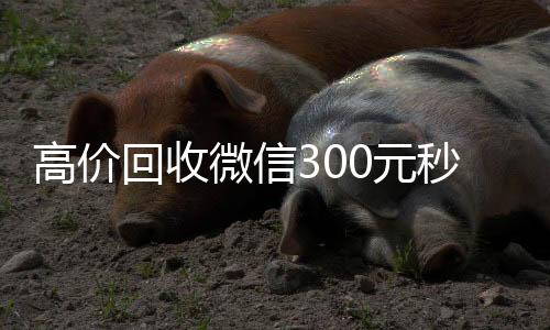 高价回收微信300元秒结（高价回收微信300元秒结的平台）