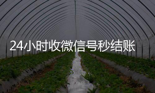 24小时收微信号秒结账(有没有收微信号秒结账的)